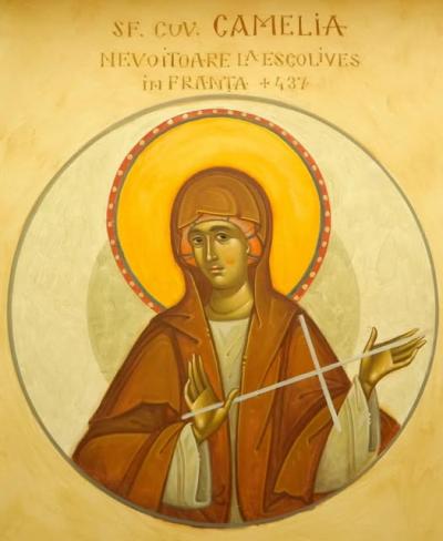 Sfânta Cuvioasă Camelia din Ecoulives