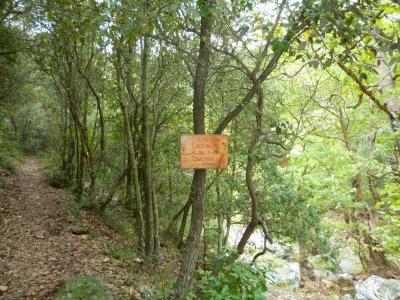 Spre peştera Sfântului Eftimie cel Nou