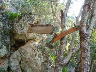 Spre peştera Sfântului Eftimie cel Nou