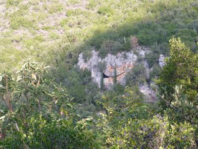 Peştera Sfântului Eftimie cel Nou