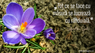 Tot ce se face cu măsură se lucrează cu rânduială