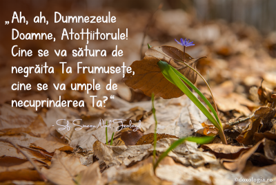 Doamne, cine se va sătura de negrăita Ta Frumusețe? Doamne, cine se va sătura de negrăita Ta Frumusețe?