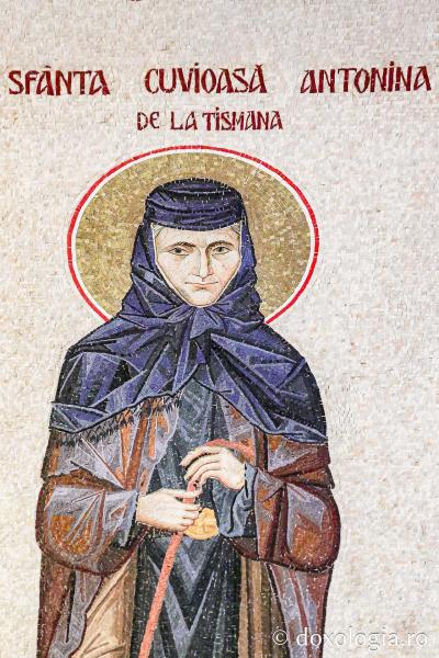 Sfânta Cuvioasă Antonina de la Tismana