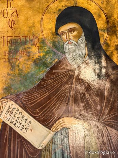 Sfântul Ierarh Ignatie, Mitropolit de Mitimna