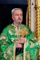 Pr. prof. univ. dr. Viorel Ioniță