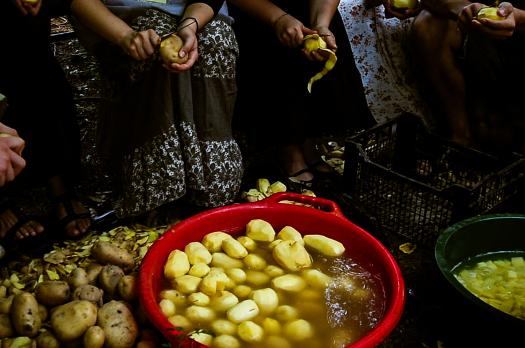 Activități | Seminarul Teologic Ortodox Iasi