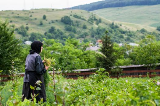 Mesajul Patriarhului Daniel cu ocazia Anului Nou 2022 ...